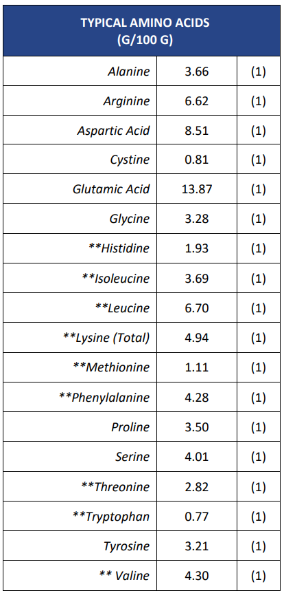 MycoProtein Amino Acids
